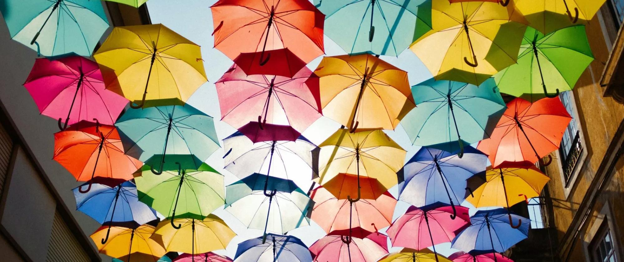 Umbrella