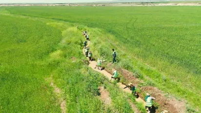 agriculture workers working in the field