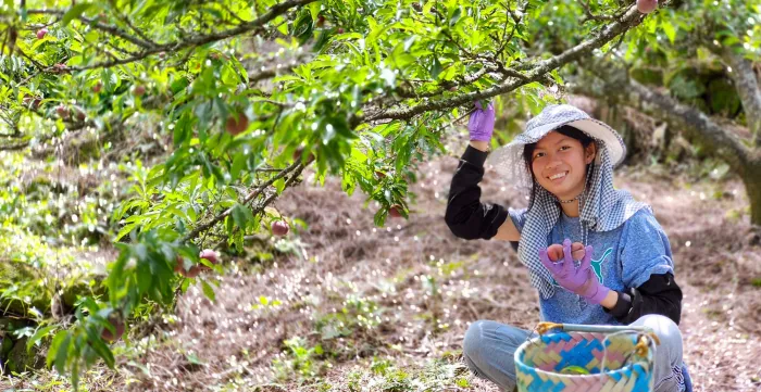 A young woman farmer under a tree holding tomatoes